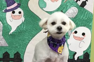 10月のお友達☆