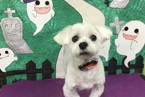 10月のお友達☆