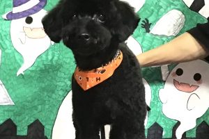 10月のお友達☆
