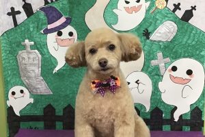 10月のお友達☆