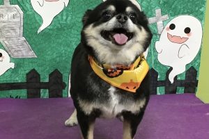10月のお友達☆