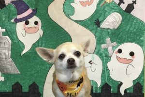 10月のお友達☆