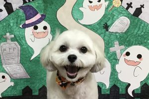 10月のお友達☆