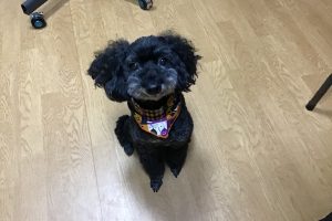 10月のお友達☆