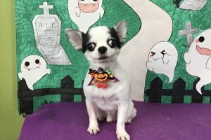 10月のお友達☆