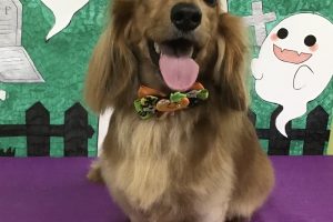 10月のお友達☆