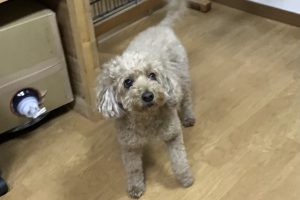 お泊まり中☆