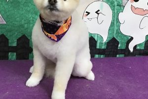 10月のお友達☆