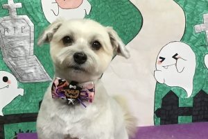 10月のお友達☆