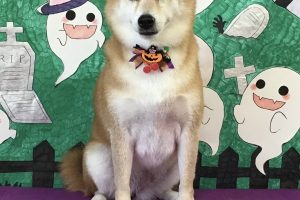 10月のお友達☆