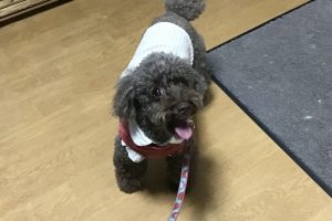 お泊まり中☆