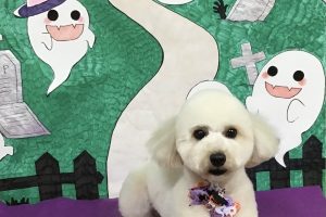 10月のお友達☆