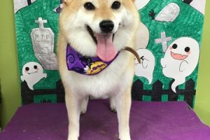 10月のお友達☆