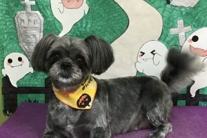 10月のお友達☆