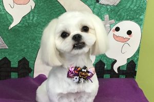 10月のお友達☆