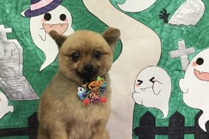10月のお友達☆