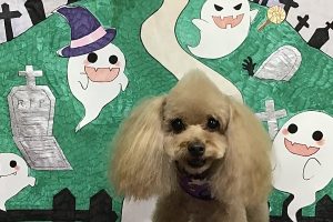 10月のお友達☆