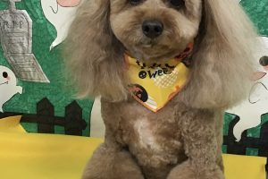 10月のお友達☆