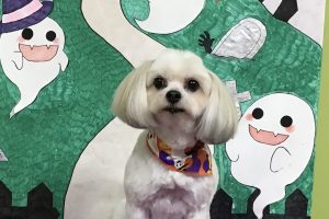 10月のお友達☆