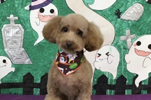 10月のお友達☆