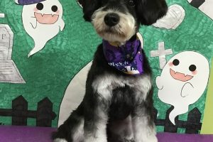 10月のお友達☆