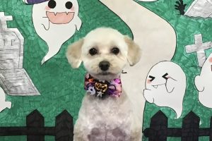 10月のお友達☆