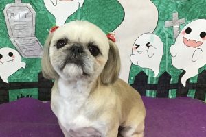 10月のお友達☆