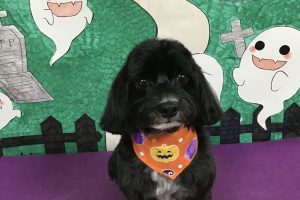 10月のお友達☆