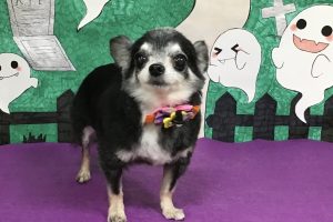 10月のお友達☆