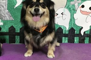10月のお友達☆