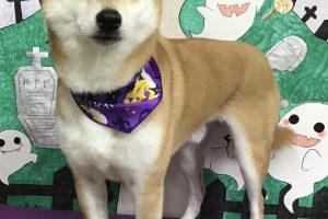 10月のお友達☆