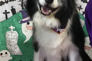 10月のお友達☆