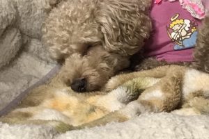 お泊り中☆