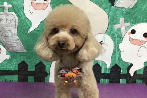 10月のお友達☆