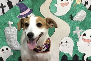 10月のお友達☆