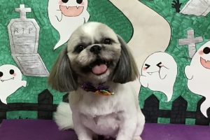 10月のお友達☆