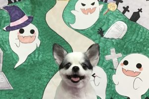 10月のお友達☆