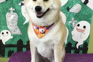 10月のお友達☆