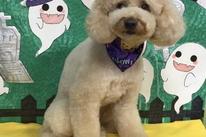 10月のお友達☆