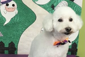 10月のお友達☆