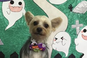 10月のお友達☆