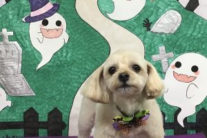 10月のお友達☆