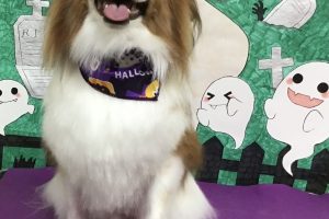 10月のお友達☆