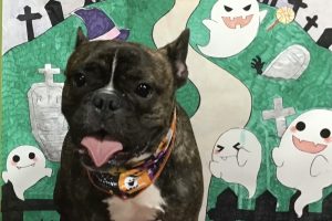 10月のお友達☆