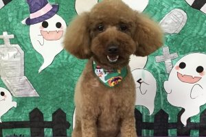 10月のお友達☆