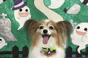 10月のお友達☆