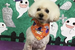 10月のお友達☆