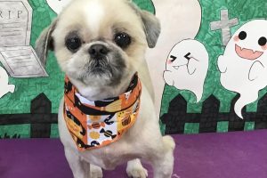 10月のお友達☆