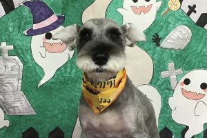 10月のお友達☆