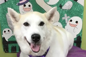 10月のお友達☆